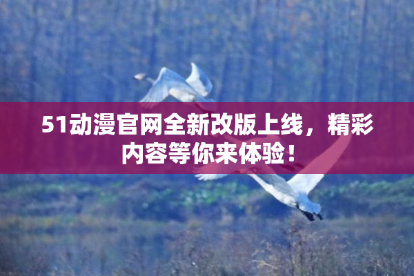 51动漫官网全新改版上线，精彩内容等你来体验！