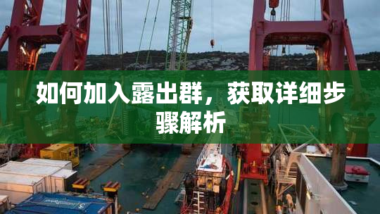 如何加入露出群，获取详细步骤解析