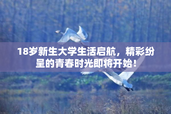 18岁新生大学生活启航，精彩纷呈的青春时光即将开始！
