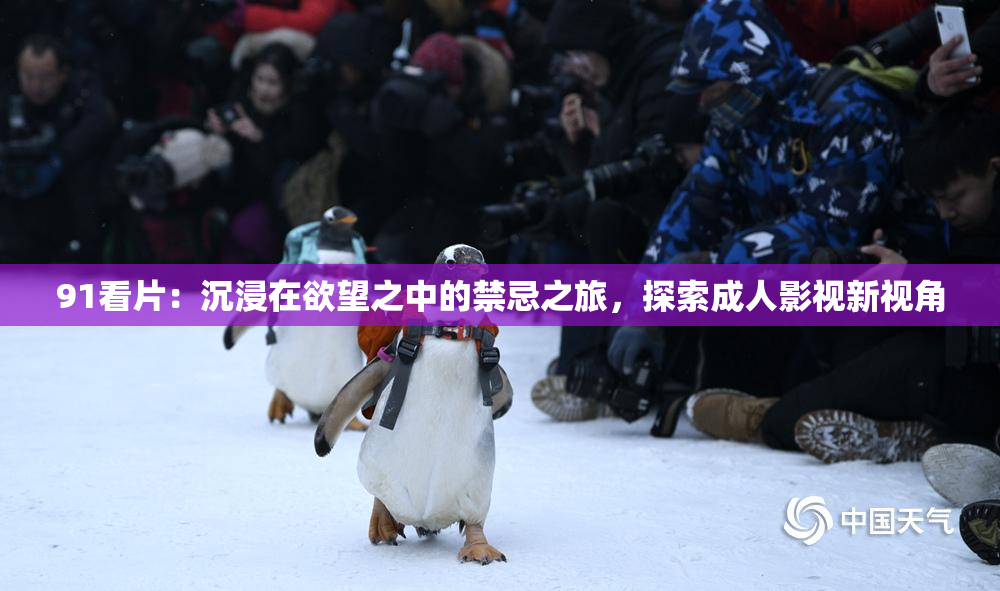 91看片：沉浸在欲望之中的禁忌之旅，探索成人影视新视角