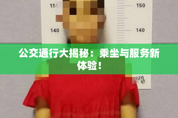 公交通行大揭秘：乘坐与服务新体验！