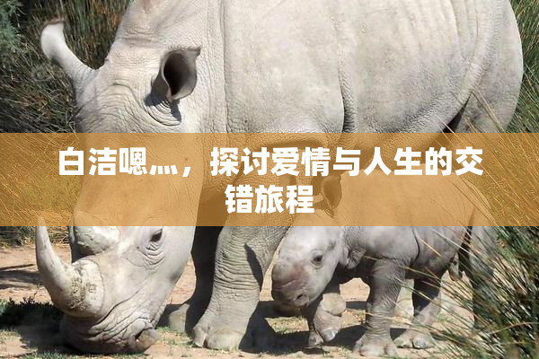 白洁嗯灬，探讨爱情与人生的交错旅程