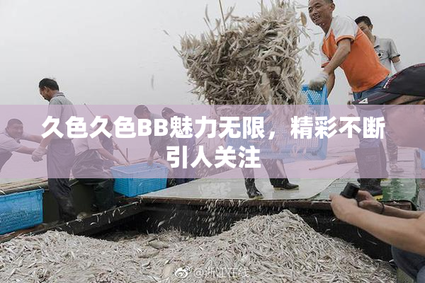 久色久色BB魅力无限，精彩不断引人关注