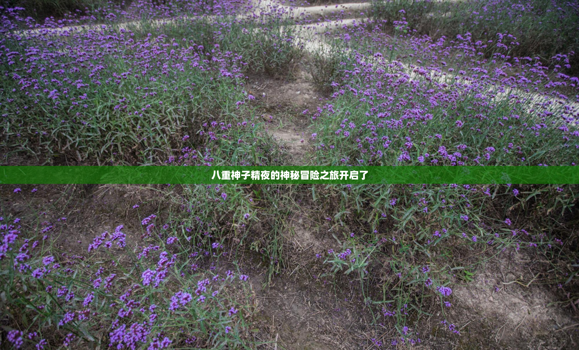 八重神子精夜的神秘冒险之旅开启了