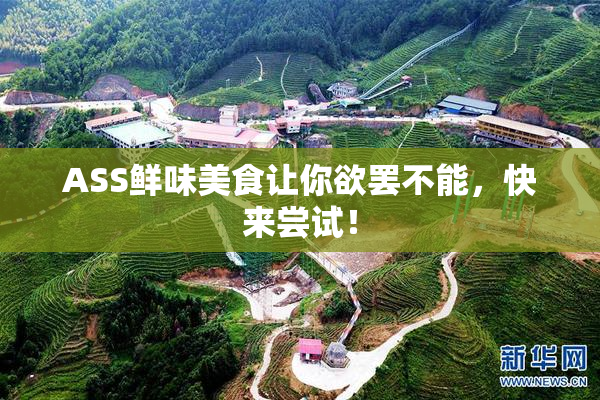 ASS鲜味美食让你欲罢不能，快来尝试！