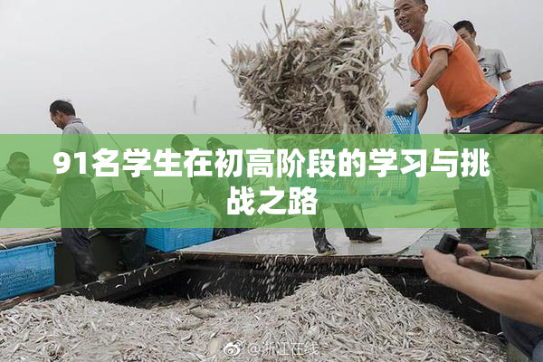 91名学生在初高阶段的学习与挑战之路