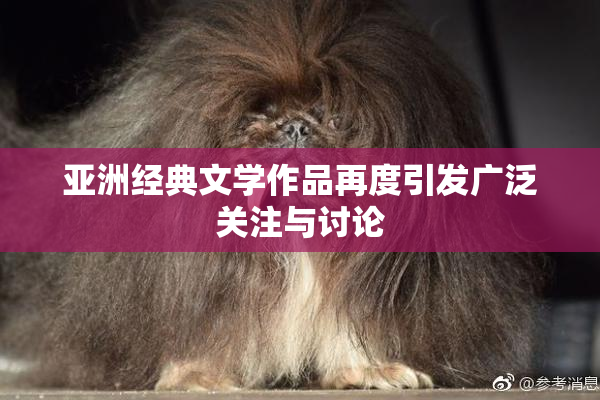 亚洲经典文学作品再度引发广泛关注与讨论