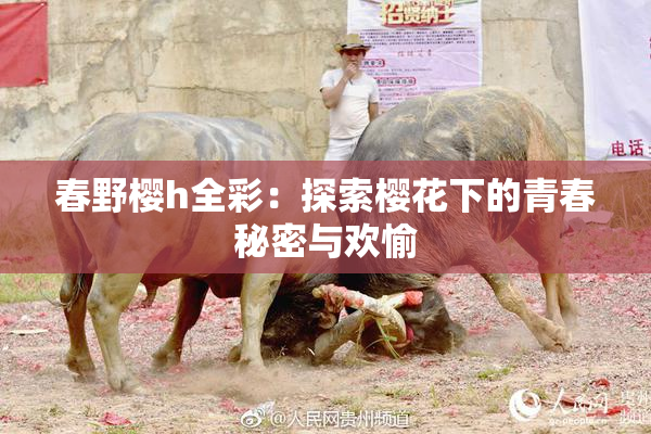 春野樱h全彩：探索樱花下的青春秘密与欢愉