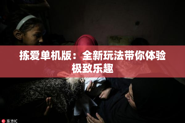 拣爱单机版：全新玩法带你体验极致乐趣