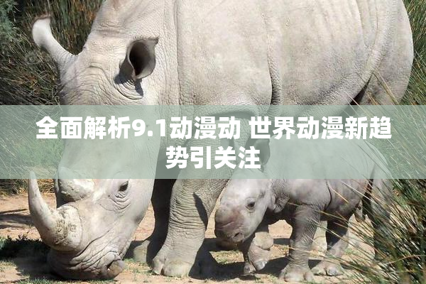 全面解析9.1动漫动 世界动漫新趋势引关注