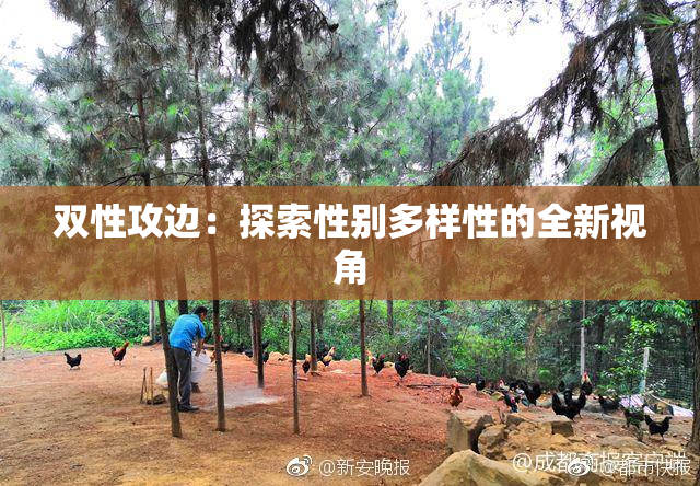 双性攻边：探索性别多样性的全新视角