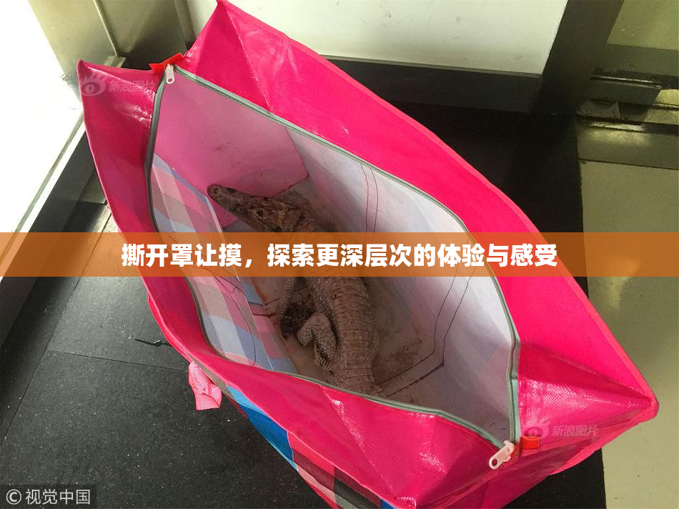 撕开罩让摸，探索更深层次的体验与感受