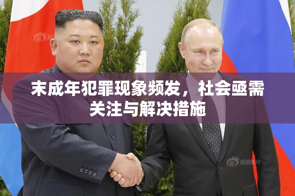 末成年犯罪现象频发，社会亟需关注与解决措施