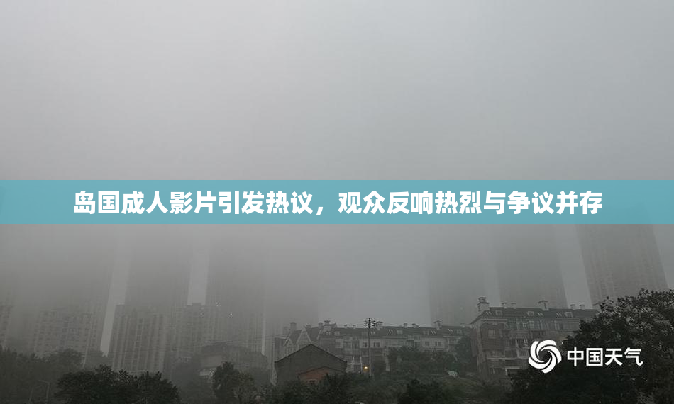 岛国成人影片引发热议，观众反响热烈与争议并存