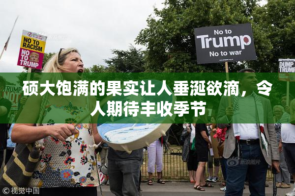 硕大饱满的果实让人垂涎欲滴，令人期待丰收季节