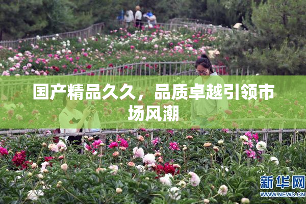 国产精品久久，品质卓越引领市场风潮