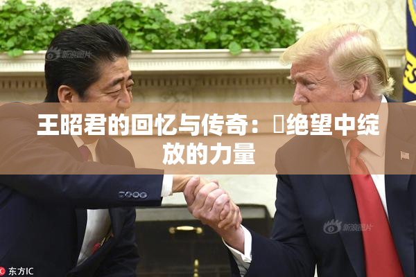 王昭君的回忆与传奇：從绝望中绽放的力量