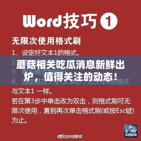 蘑菇相关吃瓜消息新鲜出炉，值得关注的动态！