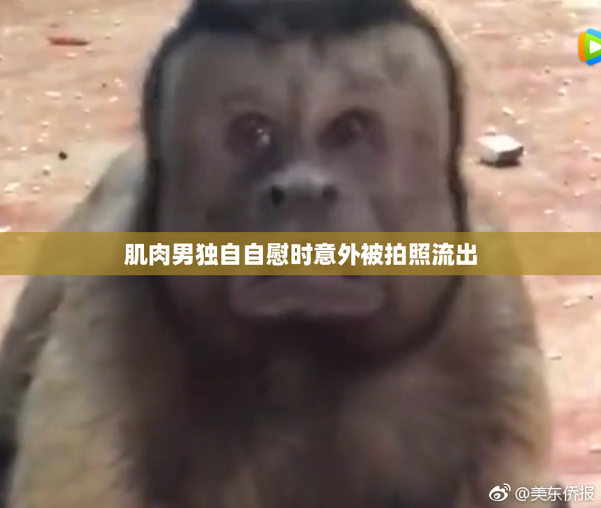 肌肉男独自自慰时意外被拍照流出