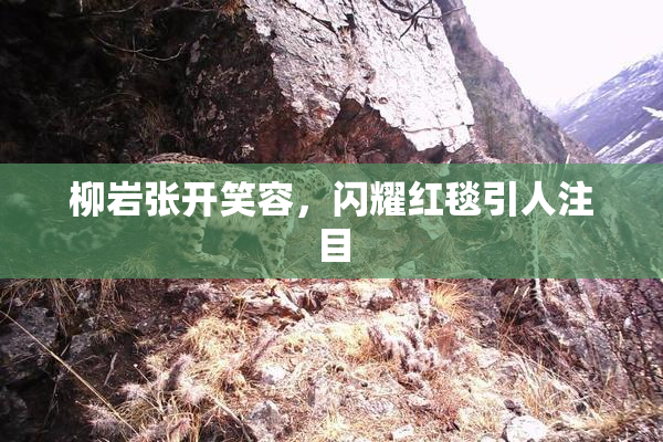 柳岩张开笑容，闪耀红毯引人注目