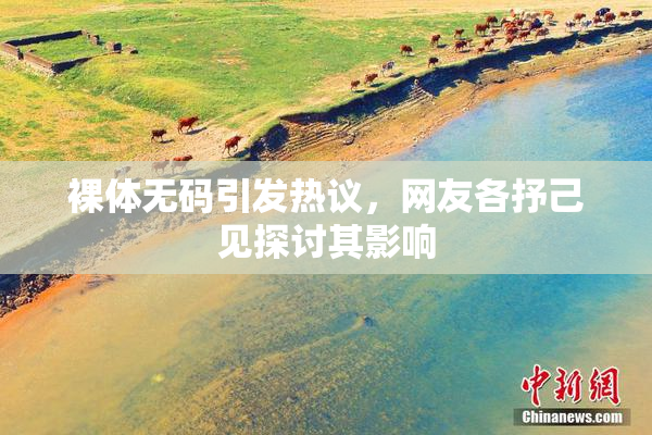 裸体无码引发热议，网友各抒己见探讨其影响