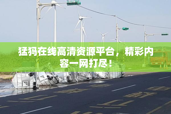 猛犸在线高清资源平台，精彩内容一网打尽！