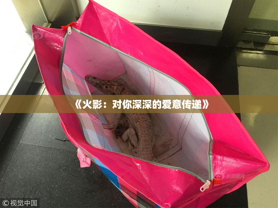 《火影：对你深深的爱意传递》