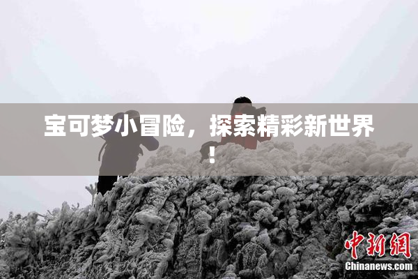 宝可梦小冒险，探索精彩新世界！