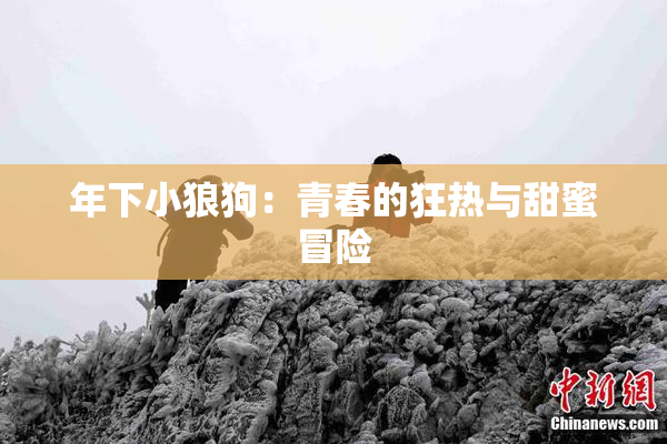 年下小狼狗：青春的狂热与甜蜜冒险