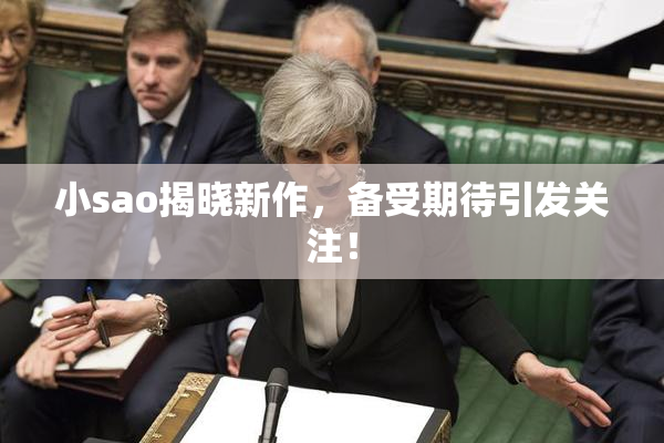 小sao揭晓新作，备受期待引发关注！