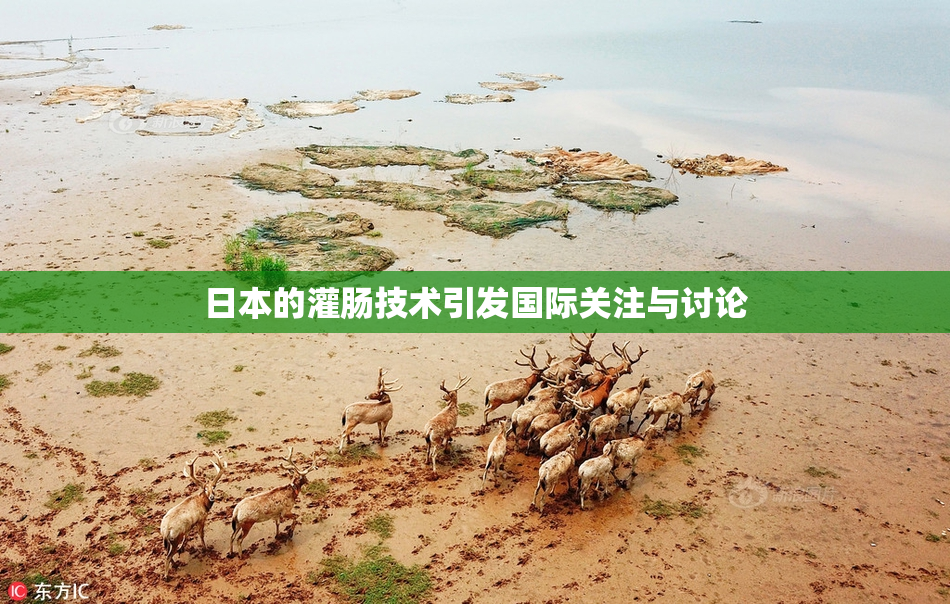 日本的灌肠技术引发国际关注与讨论
