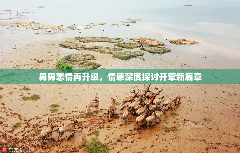 男男恋情再升级，情感深度探讨开荤新篇章