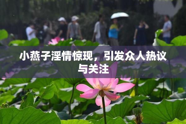 小燕子淫情惊现，引发众人热议与关注