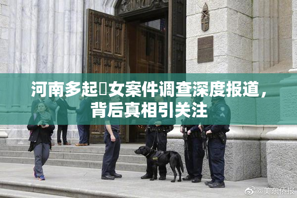 河南多起婬女案件调查深度报道，背后真相引关注