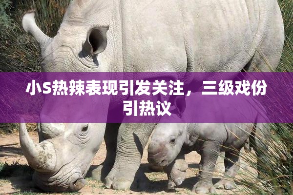 小S热辣表现引发关注，三级戏份引热议