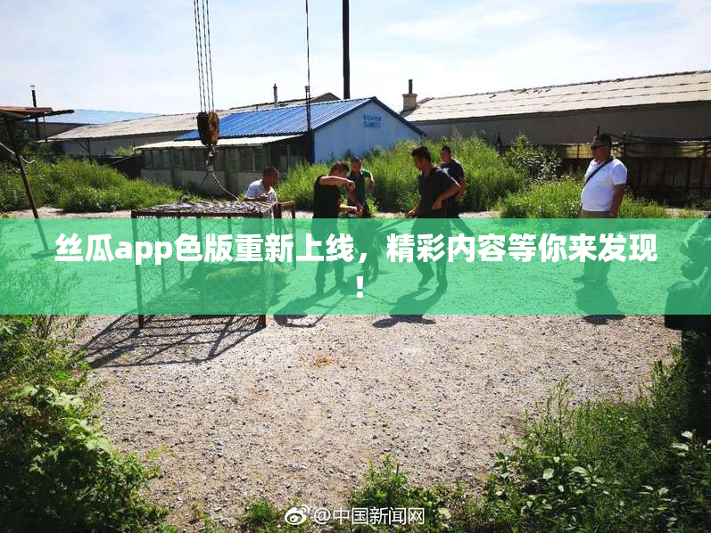 丝瓜app色版重新上线，精彩内容等你来发现！