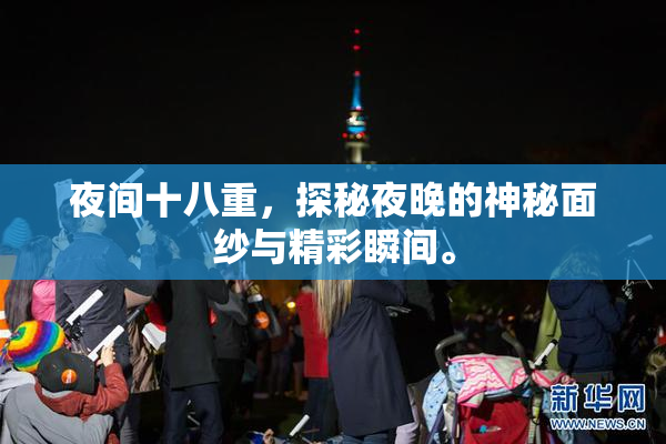 夜间十八重，探秘夜晚的神秘面纱与精彩瞬间。