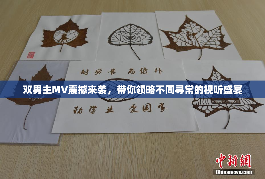 双男主MV震撼来袭，带你领略不同寻常的视听盛宴