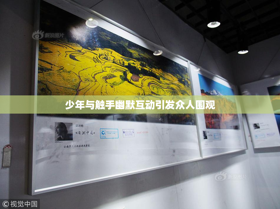 少年与触手幽默互动引发众人围观