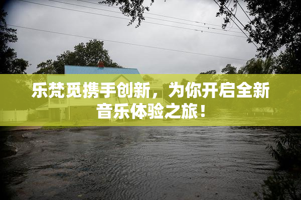 乐梵觅携手创新，为你开启全新音乐体验之旅！