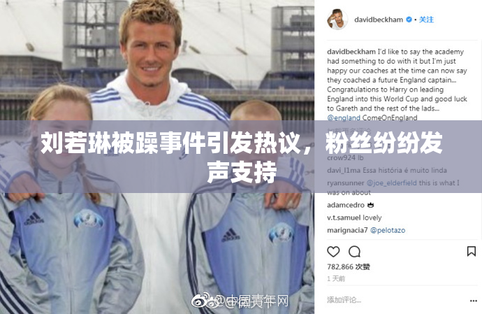 刘若琳被躁事件引发热议，粉丝纷纷发声支持