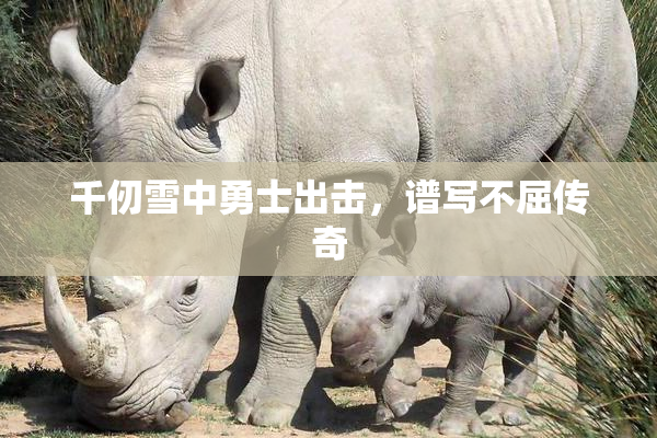 千仞雪中勇士出击，谱写不屈传奇
