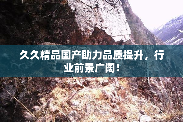 久久精品国产助力品质提升，行业前景广阔！