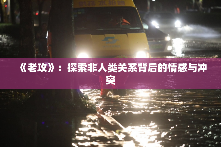 《老攻》：探索非人类关系背后的情感与冲突