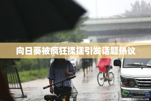 向日葵被疯狂揉搓引发话题热议