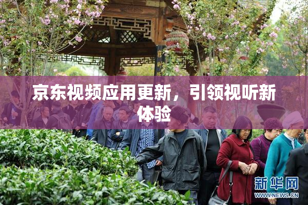 京东视频应用更新，引领视听新体验