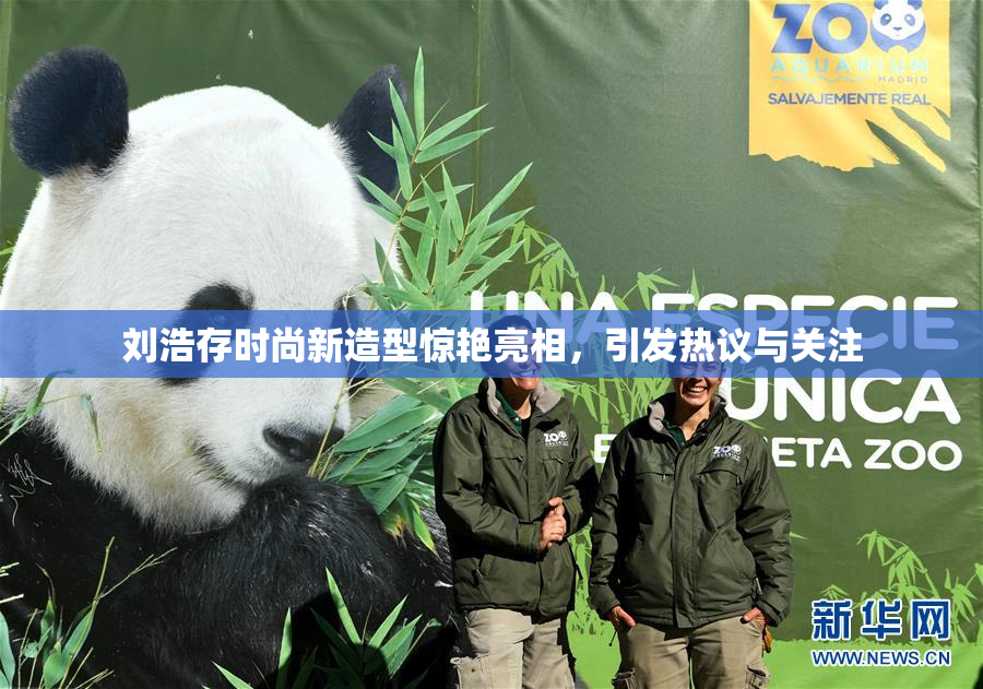 刘浩存时尚新造型惊艳亮相，引发热议与关注