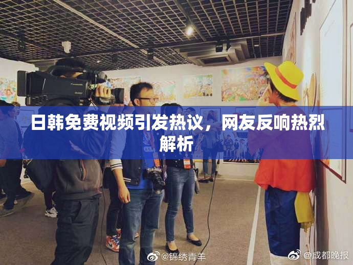 日韩免费视频引发热议，网友反响热烈解析