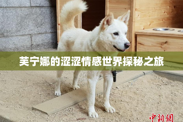 芙宁娜的涩涩情感世界探秘之旅