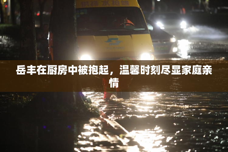岳丰在厨房中被抱起，温馨时刻尽显家庭亲情